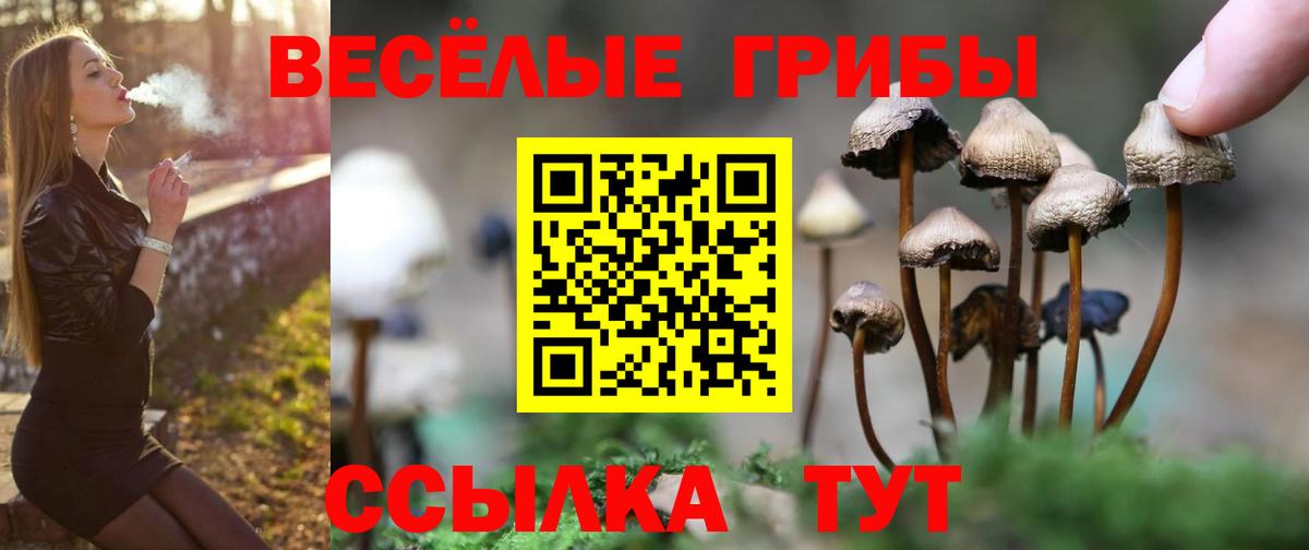 Галлюциногенные грибы Magic Shrooms Советский